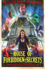 House of Forbidden Secrets 2013 one on netflix