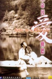 Life Is a Miracle 2001 one on netflix