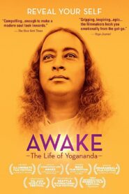 Awake: The Life of Yogananda 2014 one on netflix