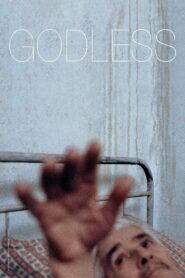 Godless 2016 one on netflix