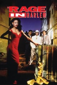 A Rage in Harlem 1991 one on netflix