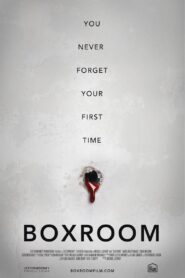 Box Room 2014 one on netflix