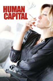 Human Capital 2013 one on netflix