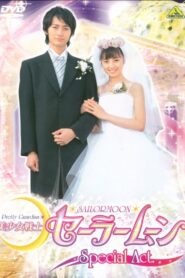 Pretty Guardian Sailor Moon Special Act: We’re Getting Married!！ 2004 one on netflix
