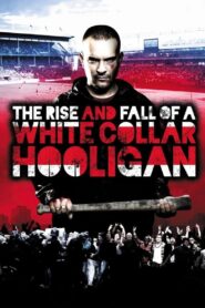 The Rise & Fall of a White Collar Hooligan 2012 one on netflix