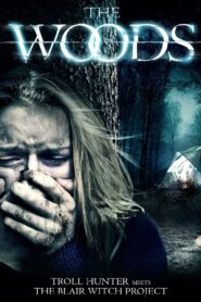 The Woods 2013 one on netflix