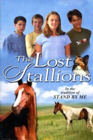 The Lost Stallions 2003 one on netflix