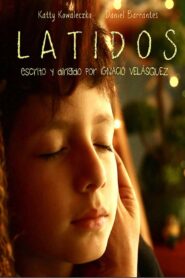 Heartbeats 2013 one on netflix