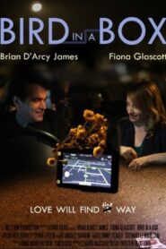 Bird in a Box 2012 one on netflix