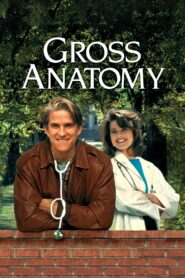 Gross Anatomy 1989 one on netflix