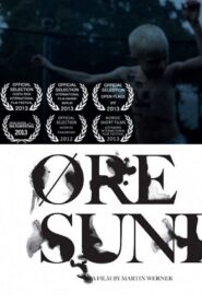 Øresund 2012 one on netflix