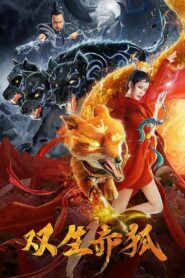 Twin Red Foxes 2020 one on netflix