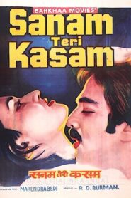 Sanam Teri Kasam 1982 one on netflix