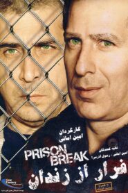 Prison Break 2015 one on netflix