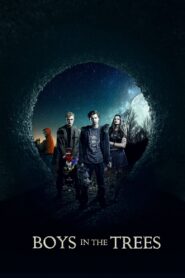 Boys in the Trees 2016 one on netflix