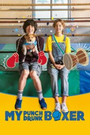 My Punch-Drunk Boxer 2019 one on netflix
