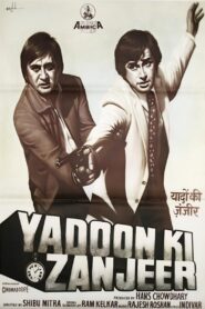 Yaadon Ki Zanjeer 1984 one on netflix