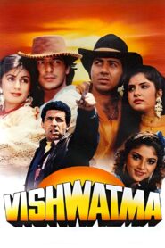 Vishwatma 1992 one on netflix