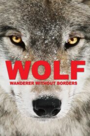 Wolf: Wanderer Without Borders 2022 one on netflix