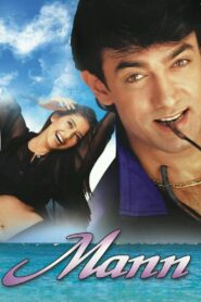 Mann 1999 one on netflix
