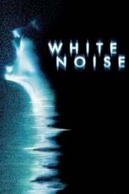 White Noise 2005 one on netflix