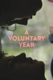 A Voluntary Year 2019 one on netflix