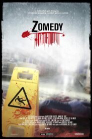 Zomedy 2011 one on netflix