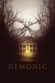 Demonic 2015 one on netflix