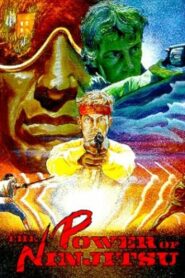 The Power of Ninjitsu 1988 one on netflix