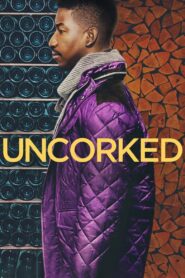 Uncorked 2020 one on netflix