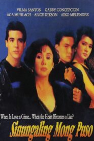Sinungaling Mong Puso 1992 one on netflix