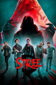 Stree 2 2024 one on netflix