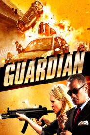 Guardian 2014 one on netflix