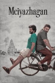 Meiyazhagan 2024 one on netflix