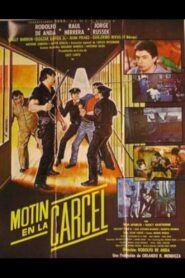 Motín en la cárcel 1986 one on netflix