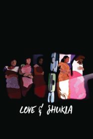 Love and Shukla 2017 one on netflix