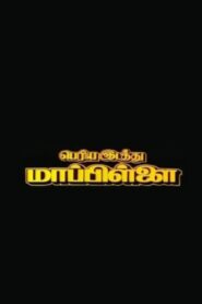 Periya Idathu Mappillai 1997 one on netflix