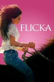 Flicka 2006 one on netflix