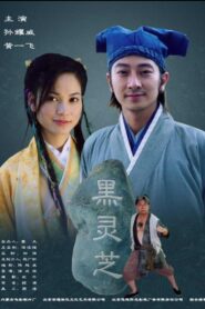 黑灵芝 2006 one on netflix