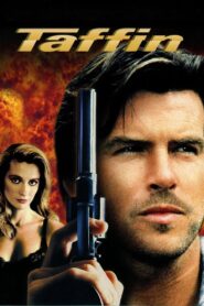 Taffin 1988 one on netflix