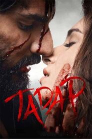 Tadap 2021 one on netflix