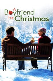 A Boyfriend for Christmas 2004 one on netflix