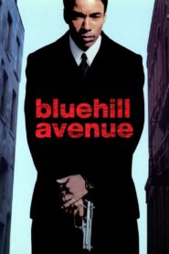 Blue Hill Avenue 2003 one on netflix