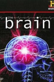 The Brain 2008 one on netflix