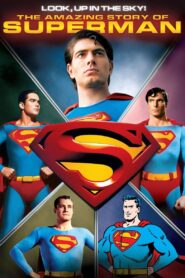 Look, Up in the Sky! The Amazing Story of Superman 2006 one on netflix