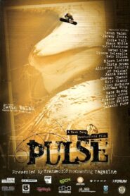 Pulse 2002 one on netflix