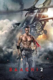 Baaghi 2 2018 one on netflix
