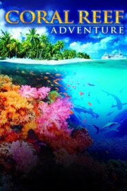 Coral Reef Adventure 2003 one on netflix