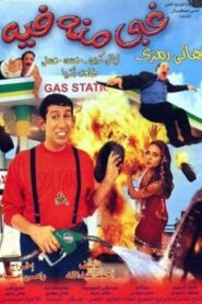 A Natural Born Fool 2004 one on netflix