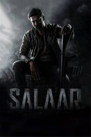 Salaar: Part 1 – Ceasefire 2023 one on netflix